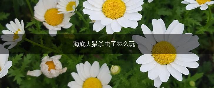 海底大猎杀虫子怎么玩,第1张