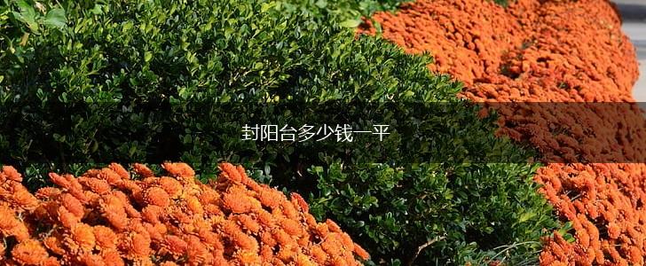 封阳台多少钱一平,第1张
