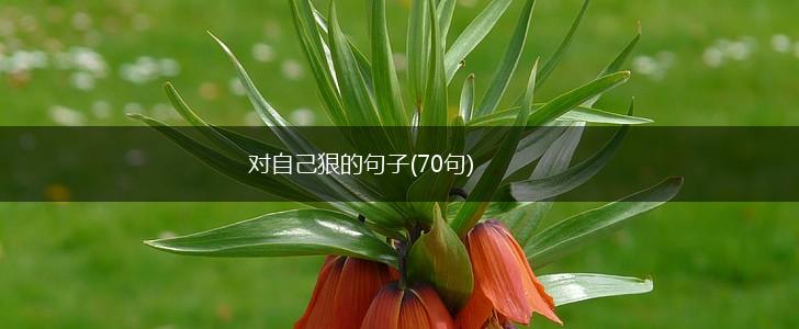 对自己狠的句子(70句),第1张