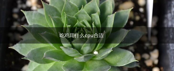 吃鸡用什么cpu合适,第1张