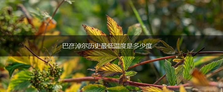 巴彦淖尔历史最低温度是多少度,第1张