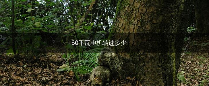 30千瓦电机转速多少,第1张