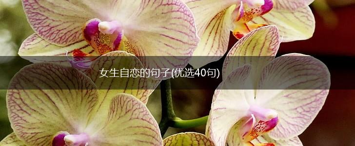 女生自恋的句子(优选40句),第1张