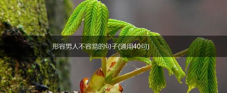 形容男人不容易的句子(通用40句),第1张