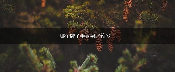 哪个牌子半身裙比较多,第1张