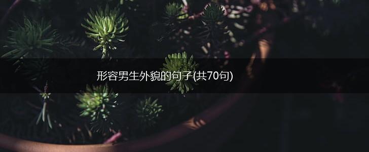 形容男生外貌的句子(共70句),第1张