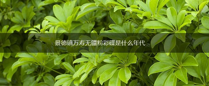 景德镇万寿无疆粉彩碟是什么年代,第1张