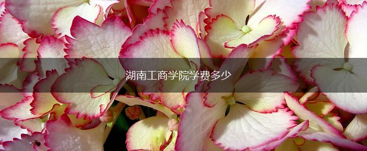 湖南工商学院学费多少,第1张