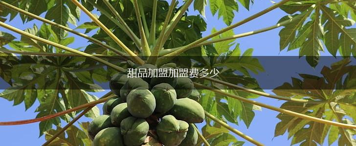甜品加盟加盟费多少,第1张