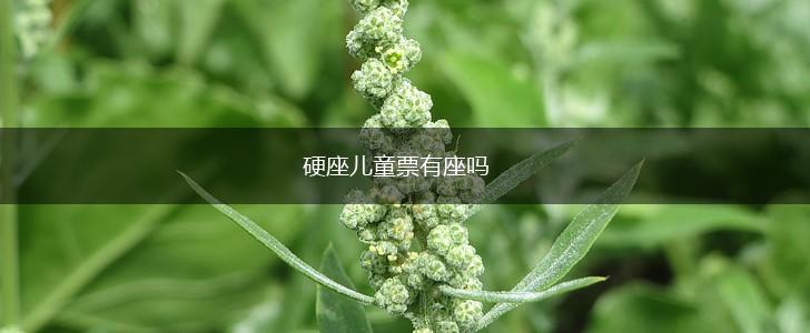 硬座儿童票有座吗,第1张
