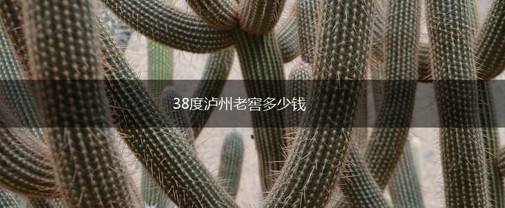 38度泸州老窖多少钱,第1张