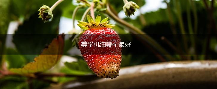 美孚机油哪个最好,第1张
