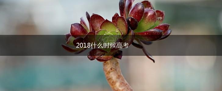 2018什么时候高考,第1张