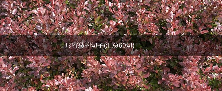 形容愁的句子(汇总60句),第1张