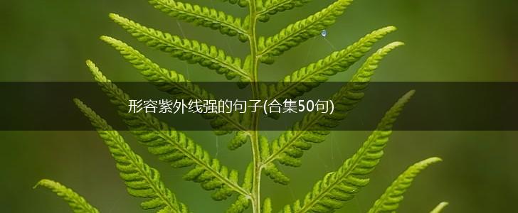 形容紫外线强的句子(合集50句),第1张