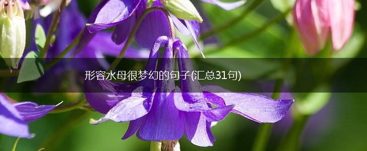 形容水母很梦幻的句子(汇总31句),第1张