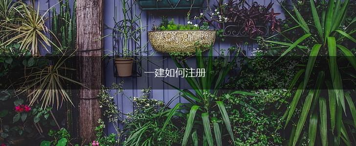 一建如何注册,第1张