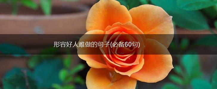 形容好人难做的句子(必备60句),第1张