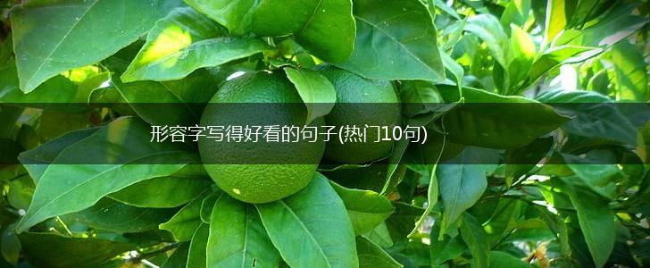 形容字写得好看的句子(热门10句),第1张