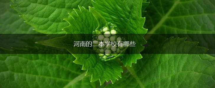 河南的二本学校有哪些,第1张