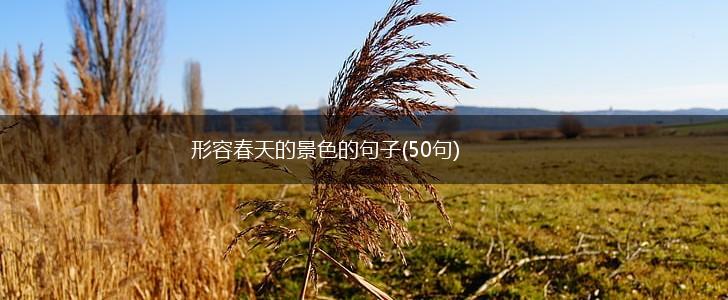 形容春天的景色的句子(50句),第1张