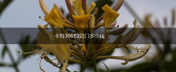 卡特306E2边门多少钱,第1张