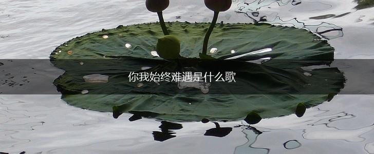 你我始终难遇是什么歌,第1张