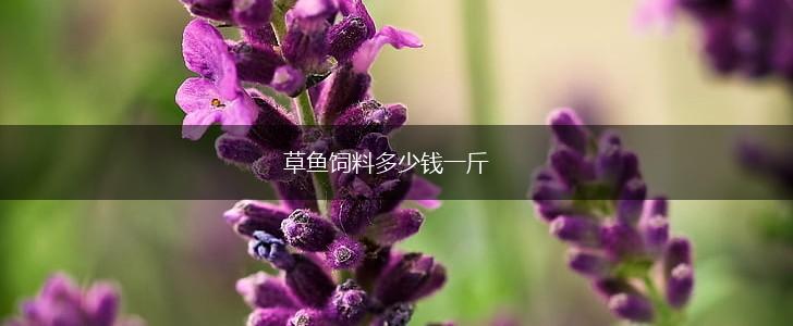 草鱼饲料多少钱一斤,第1张