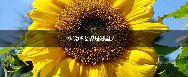 耿晓峰老婆是哪里人,第1张