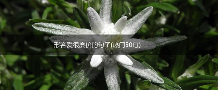 形容爱很廉价的句子(热门50句),第1张