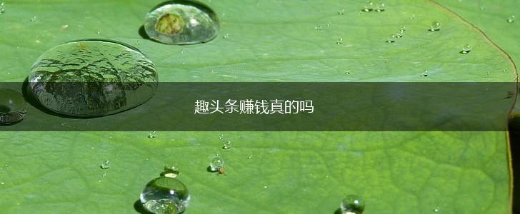 趣头条赚钱真的吗,第1张