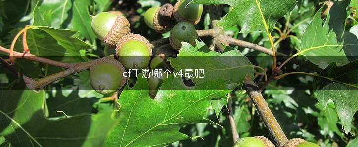 cf手游哪个v4最肥,第1张