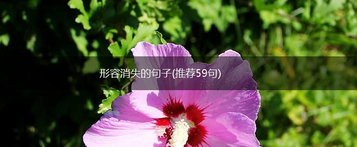 形容消失的句子(推荐59句),第1张