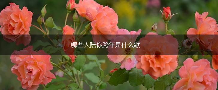 哪些人陪你跨年是什么歌,第1张