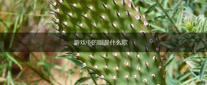 游戏中的眼是什么歌,第1张