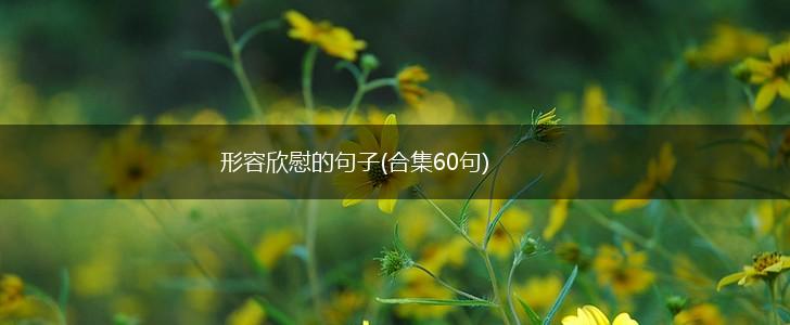 形容欣慰的句子(合集60句),第1张