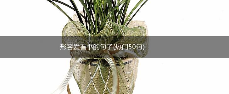 形容爱看书的句子(热门50句),第1张