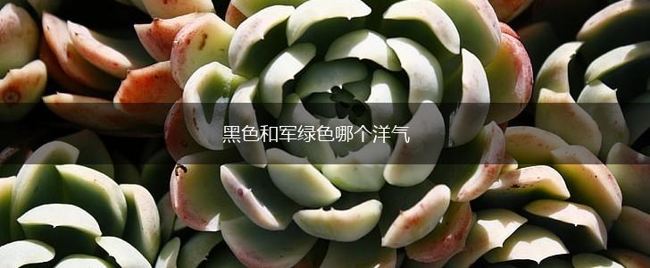 黑色和军绿色哪个洋气,第1张