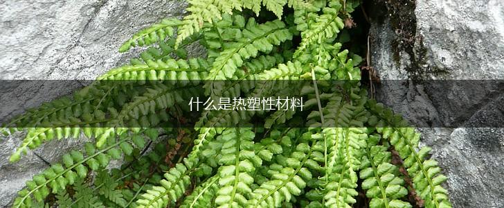 什么是热塑性材料,第1张