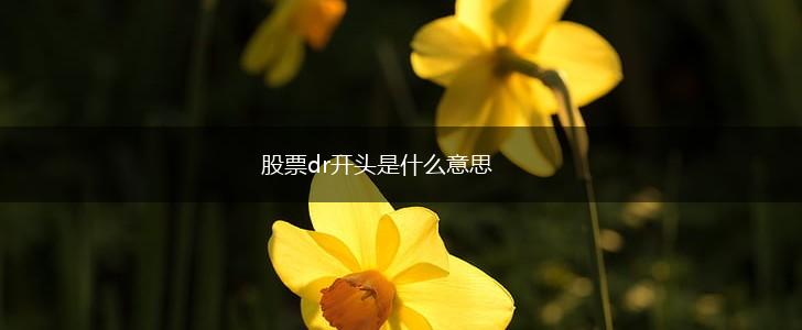 股票dr开头是什么意思,第1张