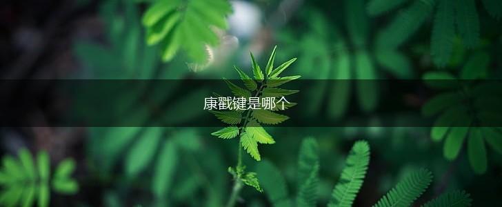 康戳键是哪个,第1张