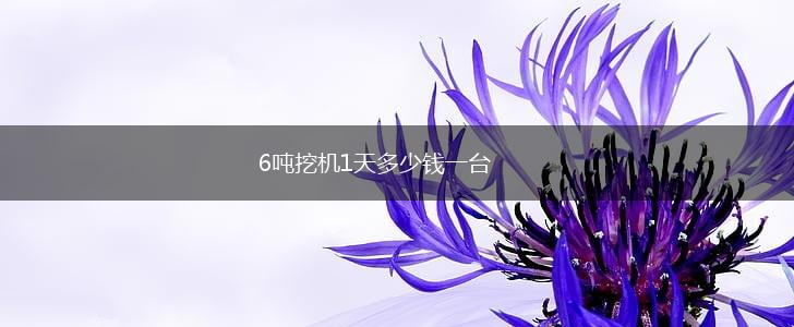 6吨挖机1天多少钱一台,第1张