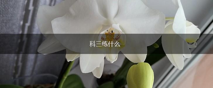 科三练什么,第1张