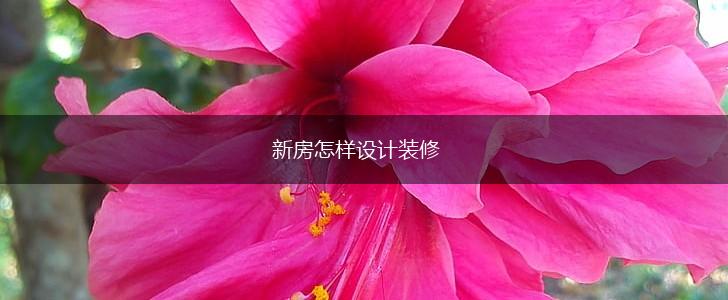 新房怎样设计装修,第1张