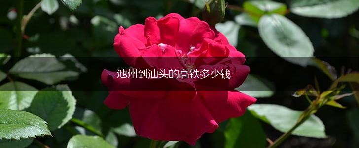 池州到汕头的高铁多少钱,第1张