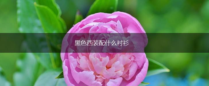 黑色西装配什么衬衫,第1张