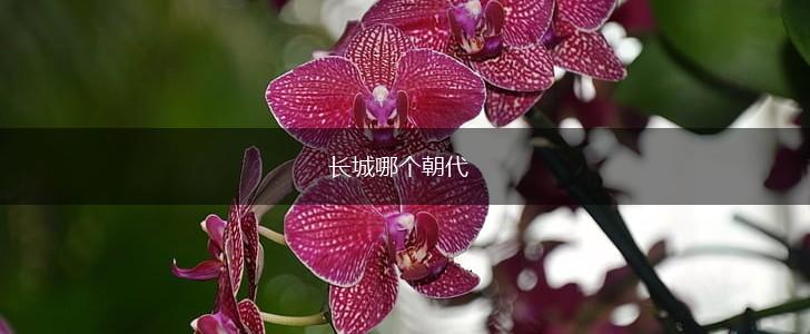 长城哪个朝代,第1张