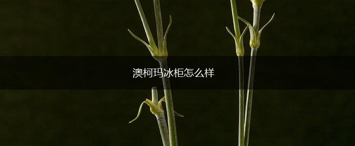 澳柯玛冰柜怎么样,第1张