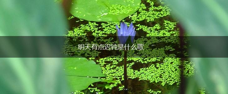 明天有点迟钝是什么歌,第1张