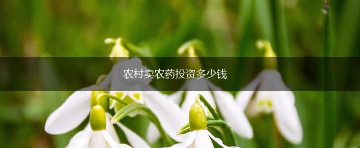 农村卖农药投资多少钱,第1张